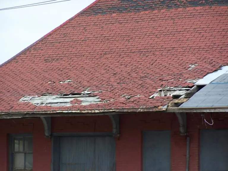 Roof